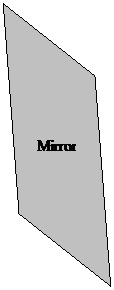 Parallelogram: Mirror
